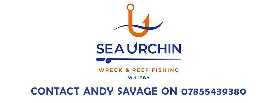 Sea Urchin III Whitby